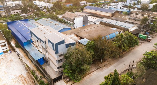 Rabale Plant